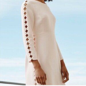 Club Monaco EDNI Dress in Blush/Light Pink